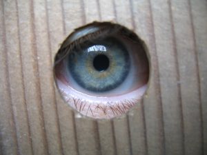 creepy eye lookinug through hole in wood | Boulder Porta Potty Peeper 